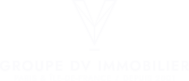 DV Immobilier